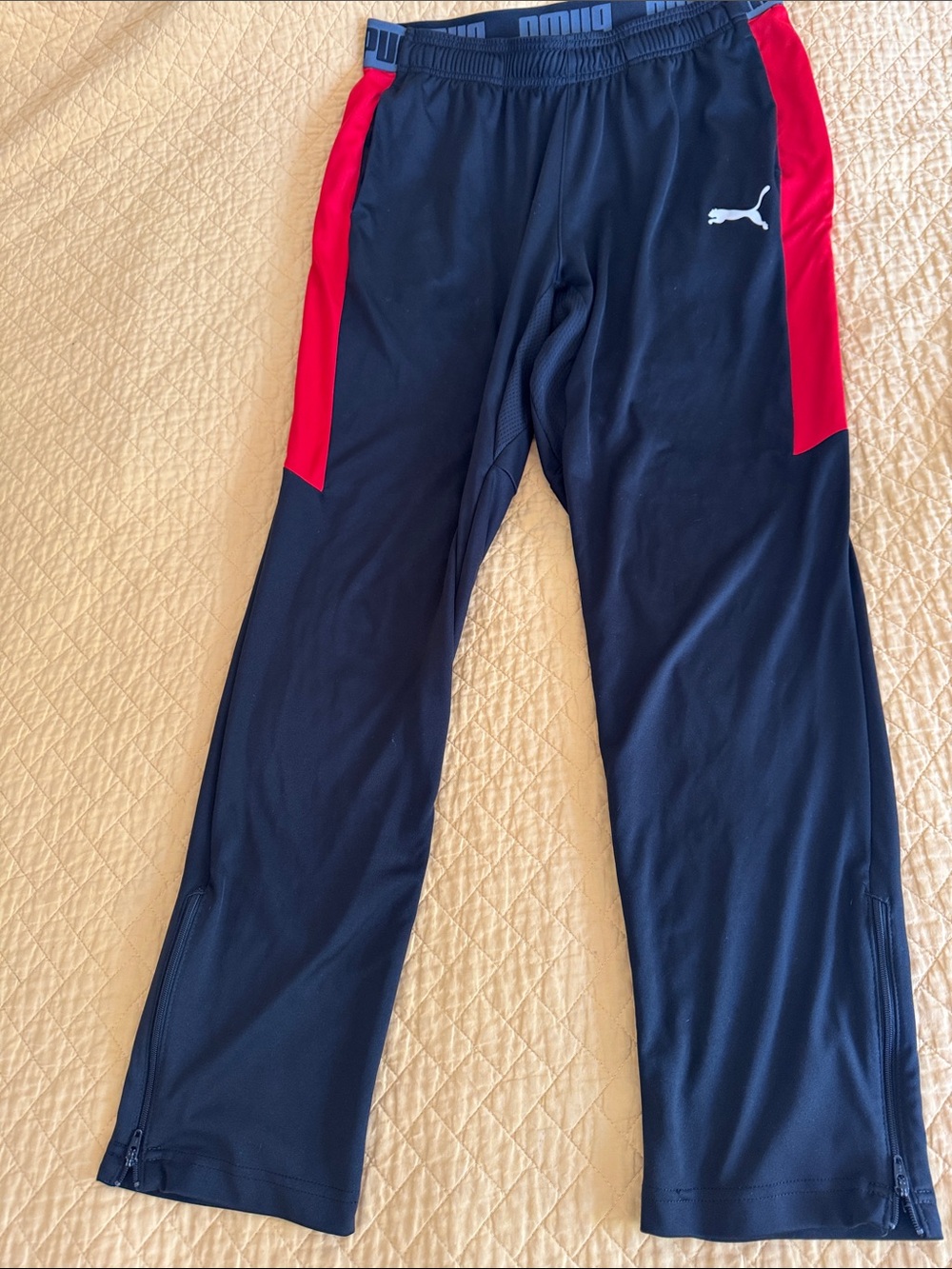 Puma Black and Red Men's Drycell Joggers with Zipped Ankles